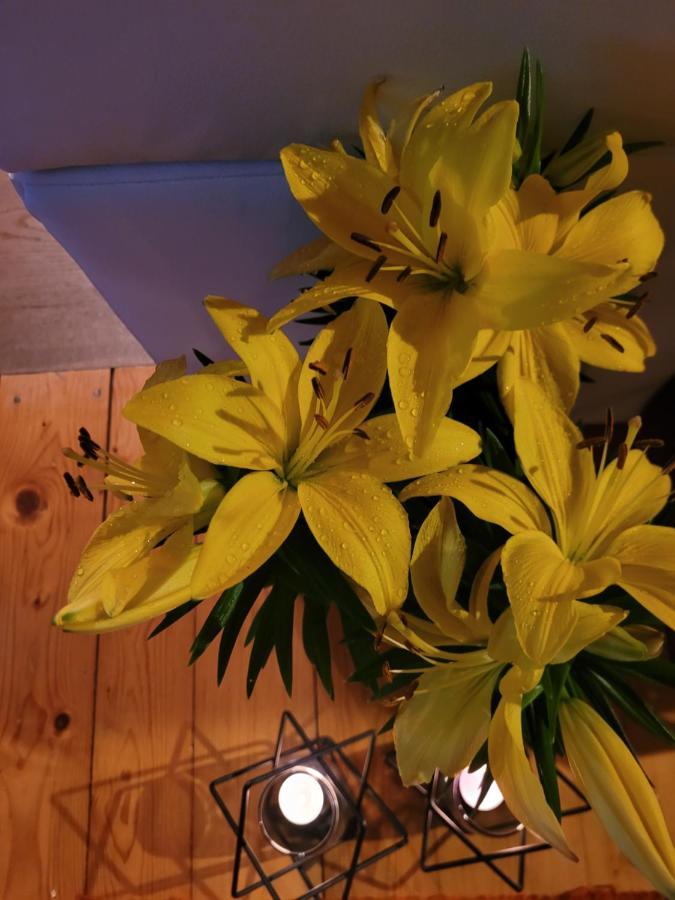 Apartament Lilla 耶莱尼亚古拉 外观 照片
